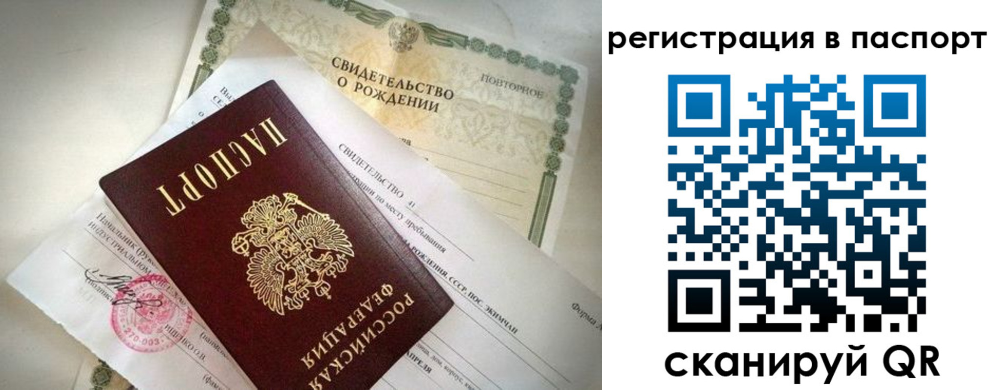 прописка гарантия в Белгородской области